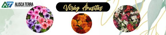 Virág árusítás